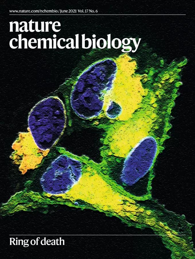 自然期刊封面,最新自然期刊
