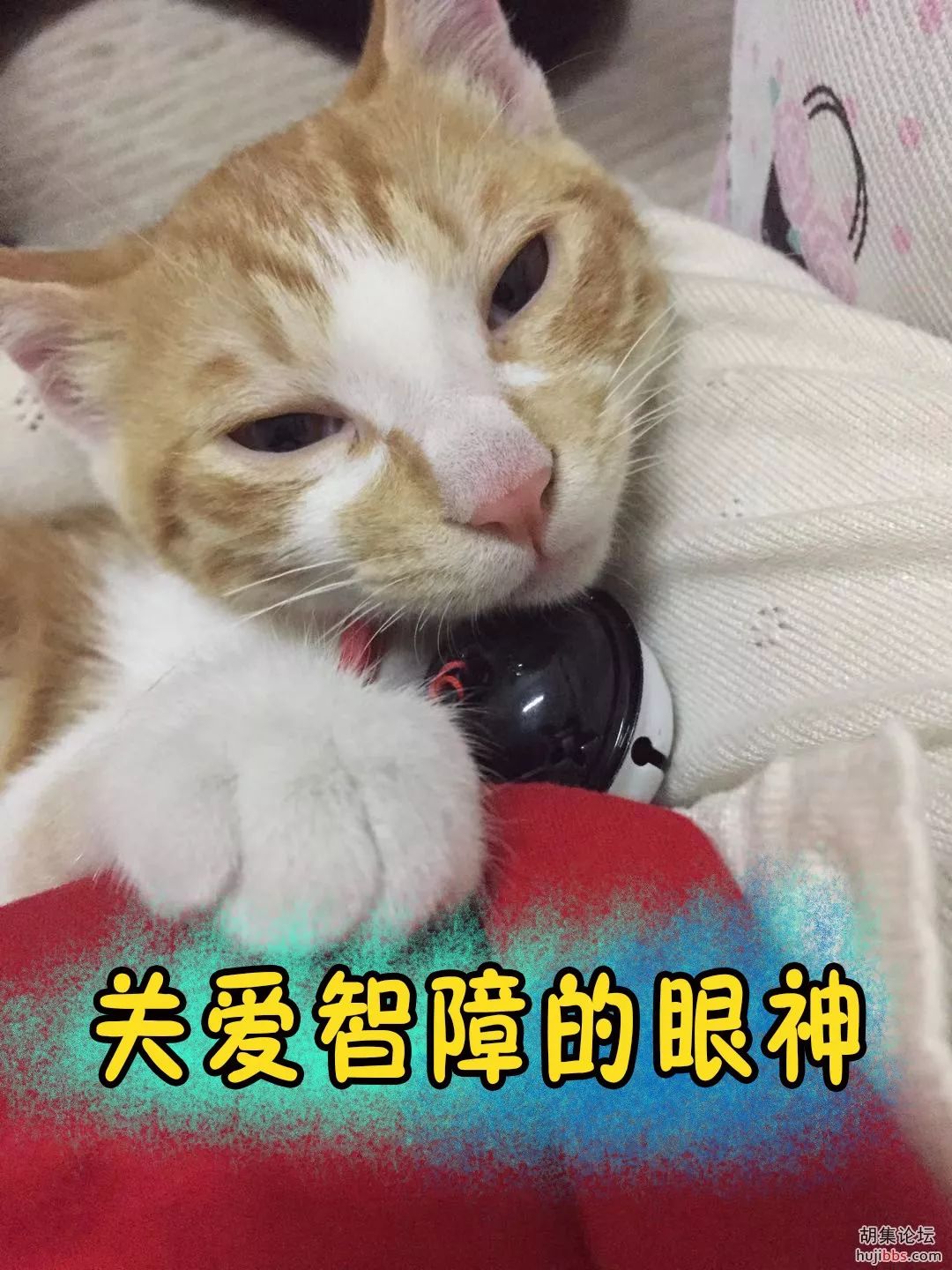 「散文」「胡集文艺」嗨！好久不见之话痨同事