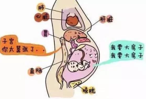 清库存，防便秘，一路顺“肠”，做轻松孕妈