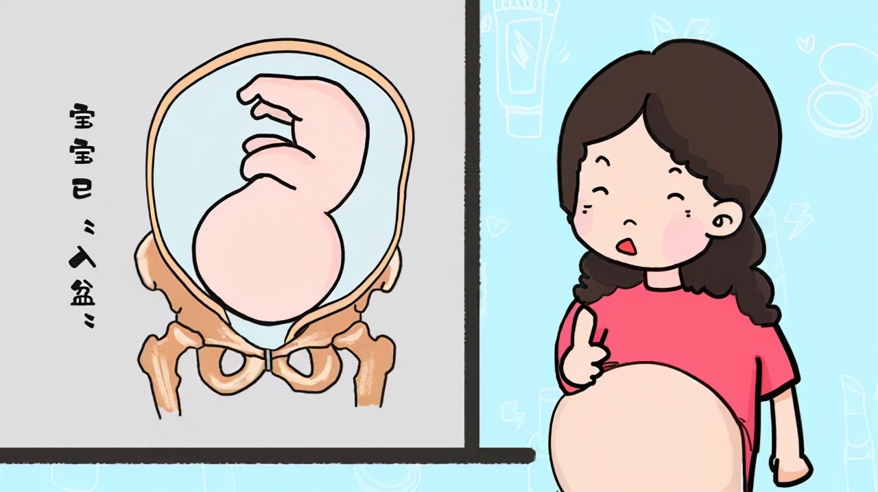 胎儿多少周入盆,胎儿入盆是什么感觉