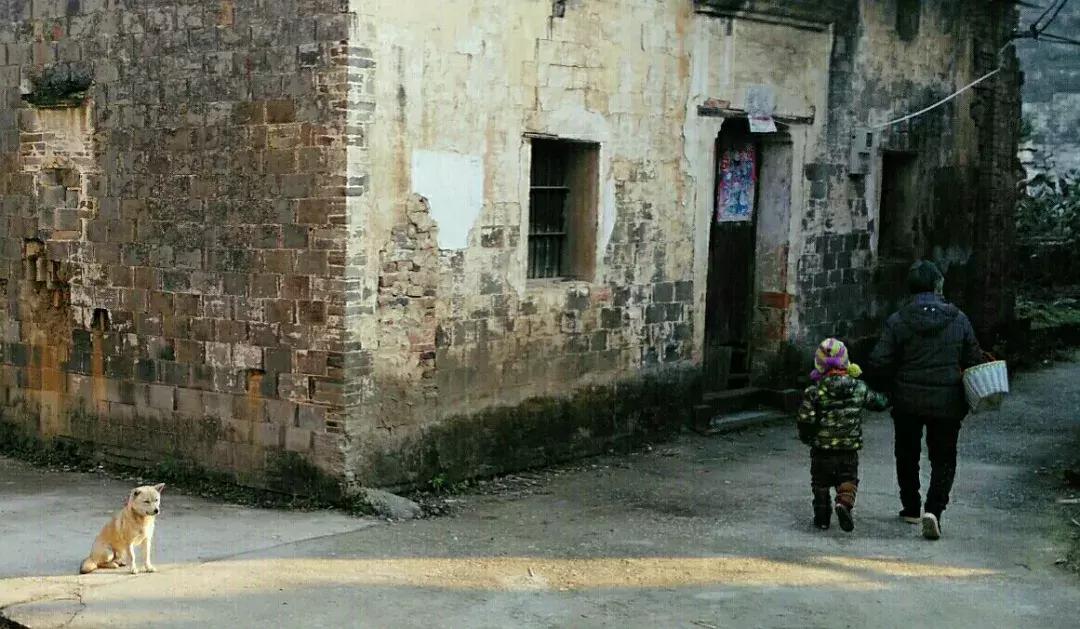 央视挖出来浙江冷门小城，小小鸭头都是世间绝味，人均100+住别墅