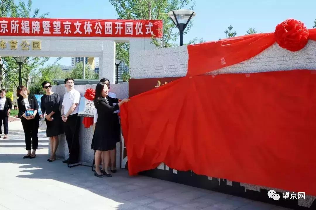 北京望京体育公园在哪儿,望京体育公园