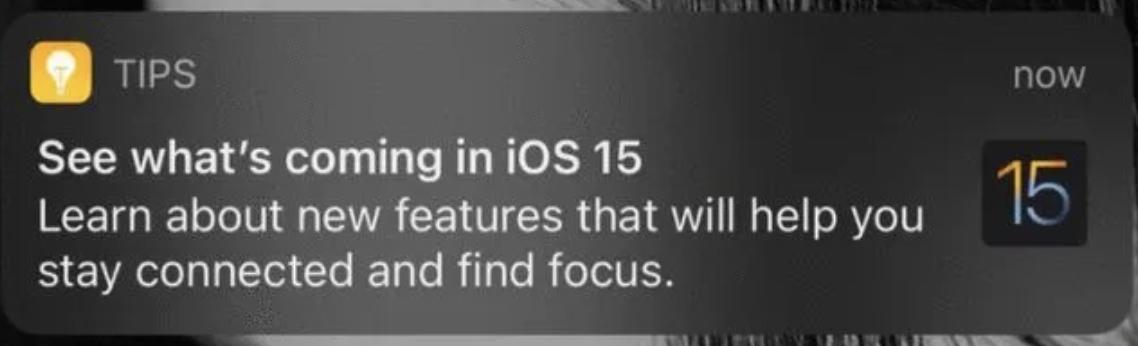 苹果ios15全部功能,苹果ios15官方测试版