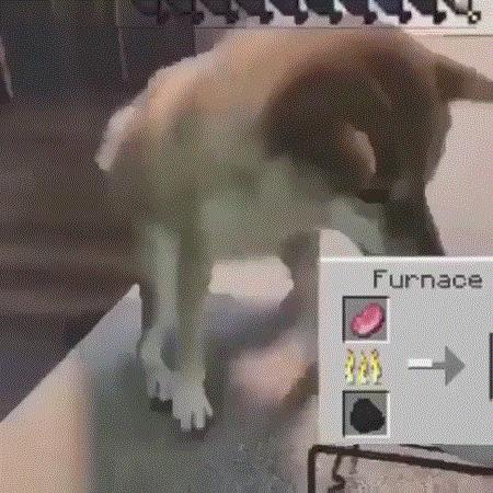 我的世界mc玩家们在池塘里养青蛙,我的世界养宠物模组推荐