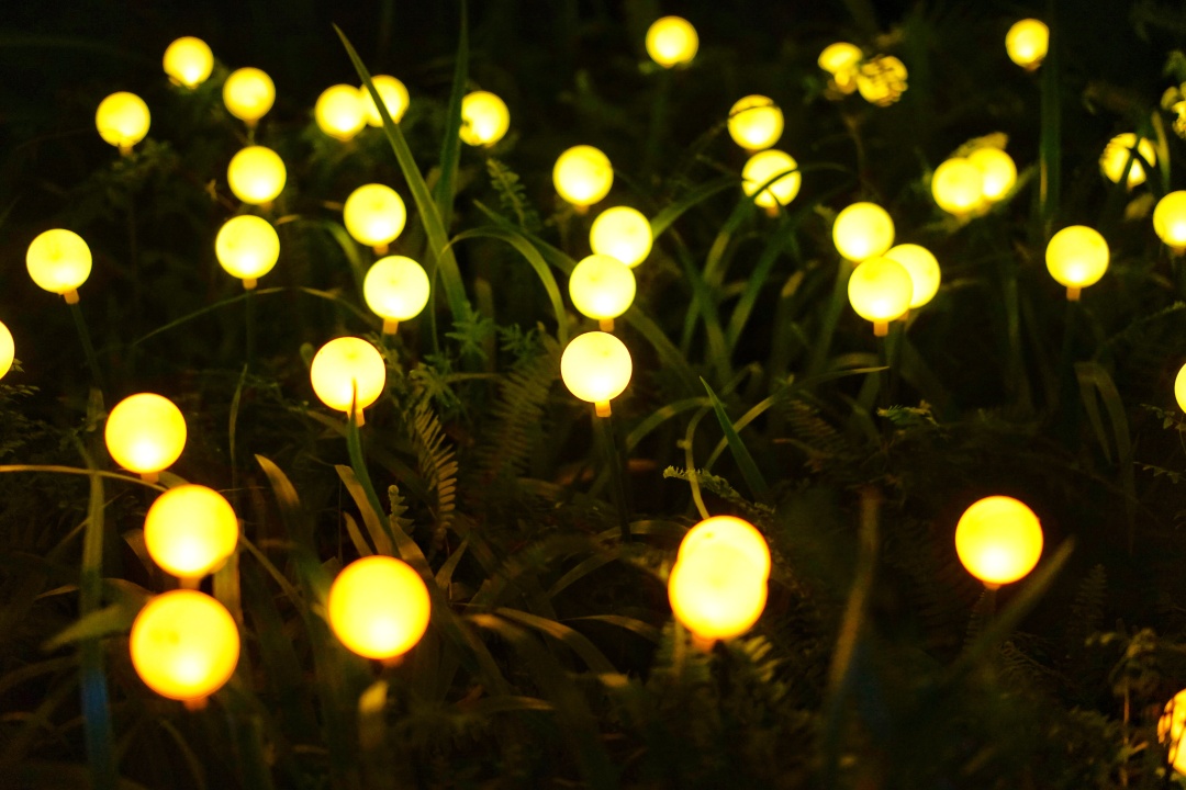 森波拉森林景区,广东清远森波拉旅游度假区