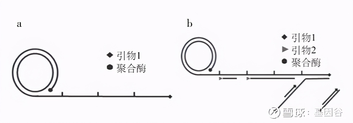 全场硬菜!分子诊断技术全解析