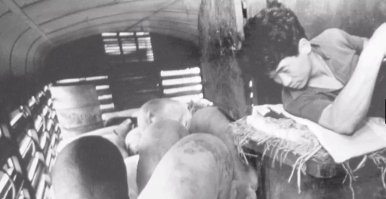 三趟快车|不为人知的“赶车人”(二)