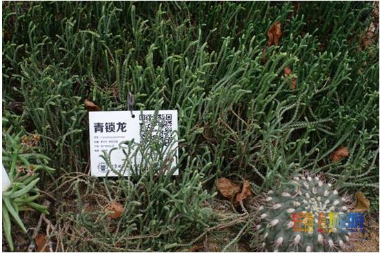 夏天就要去没有太阳的城市避暑,夏天就是要出去玩