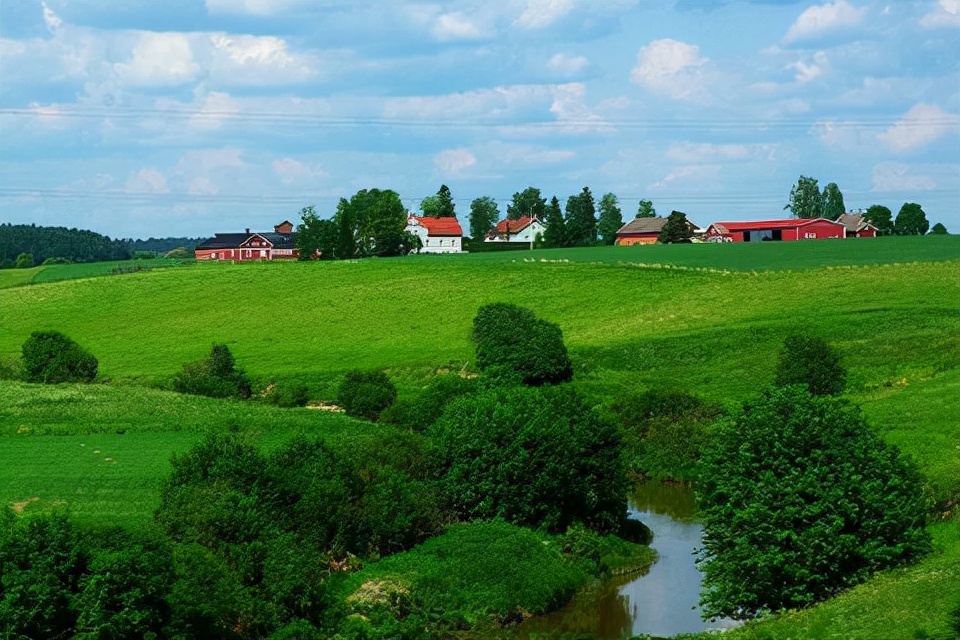 双十一纯牛奶哪个品牌优惠最大,双十一推荐之纯牛奶品牌