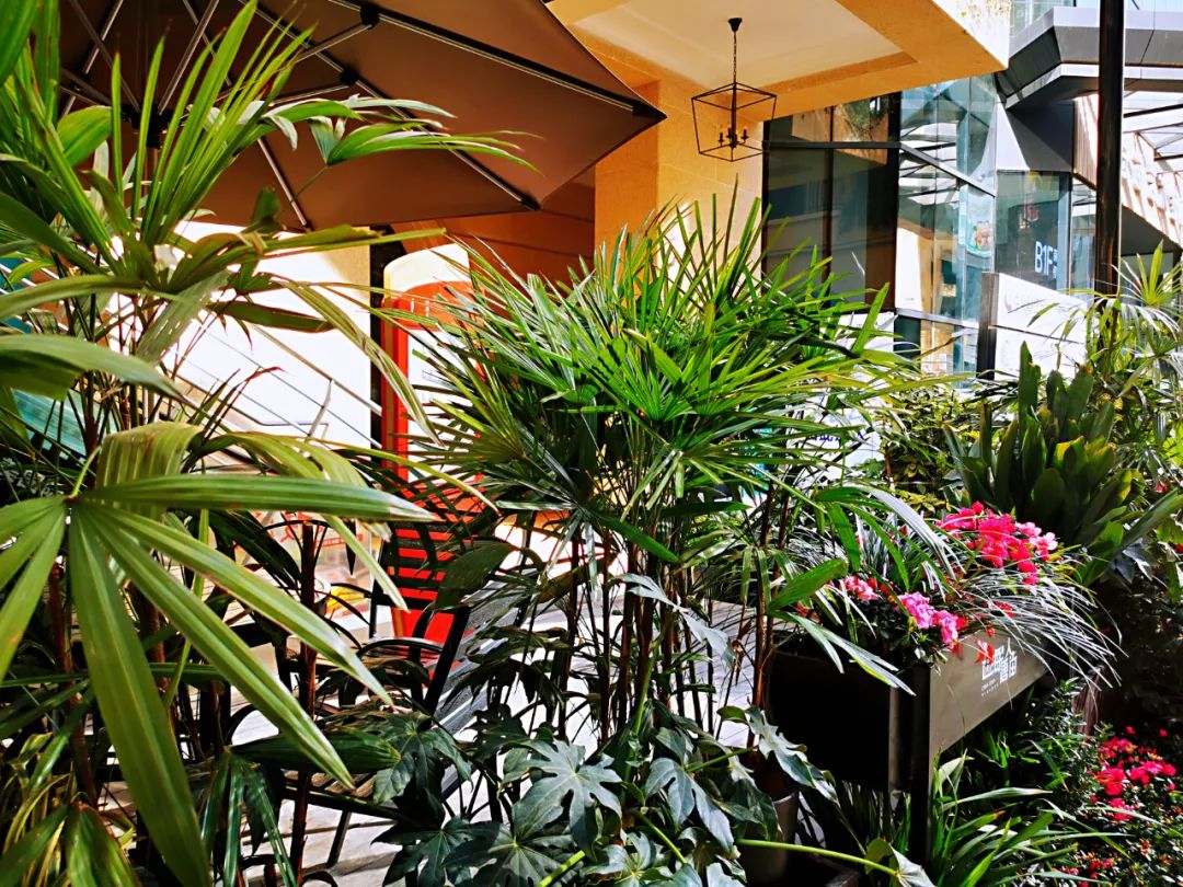 就地过年的新气象,原来就地过年也可以很欢乐