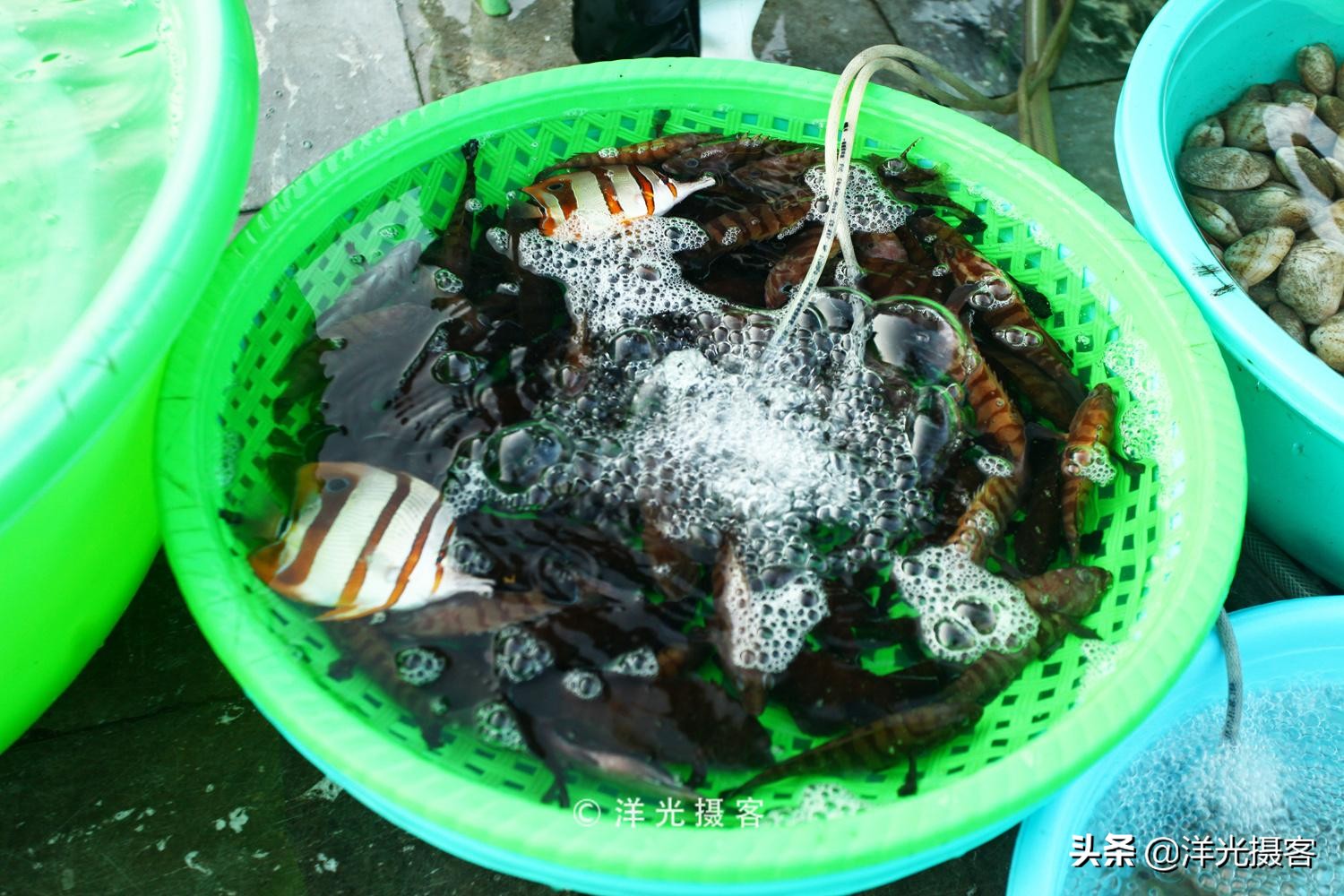 越南攻略下龙湾,越南下龙湾和桂林哪个好