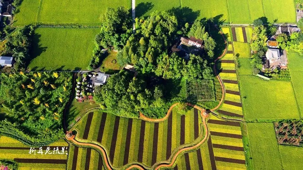 为什么要去成都买房,为什么要去买房