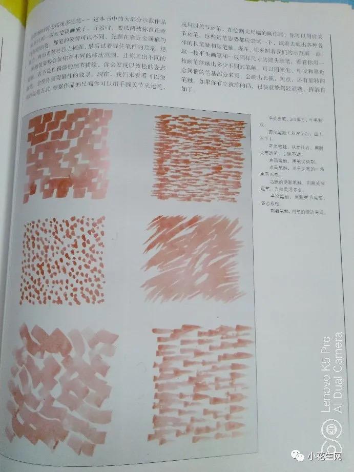 学画四年级上册美术,从零开始学绘画必备的画