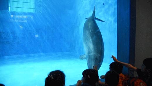 2020儿童滑步车赛事嘉年华,2023中国儿童滑步车超级联赛计划