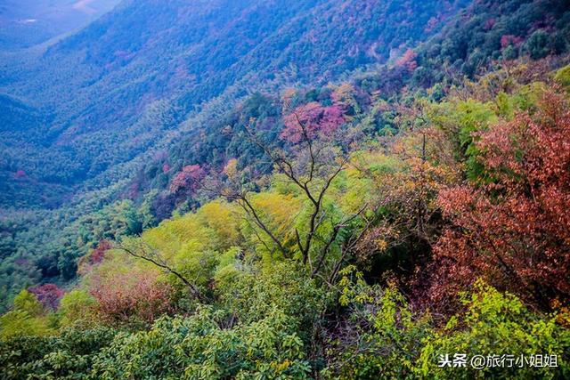 天目湖加南山竹海哪里泡温泉好,天目湖度假秘境享受绝美自然山水