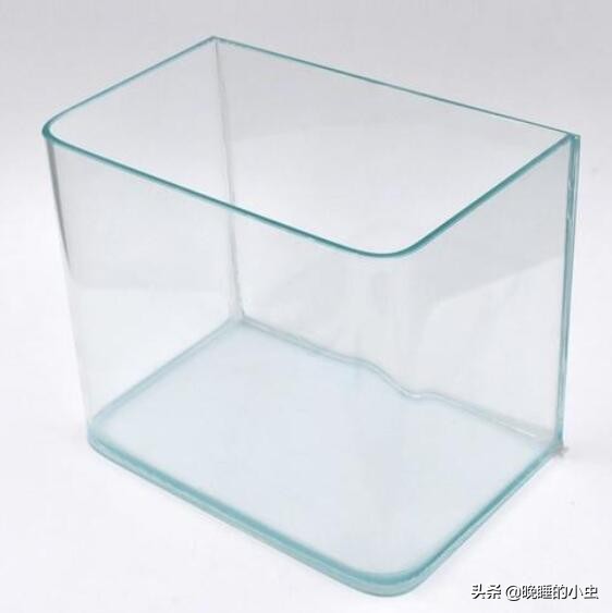 新手养鱼怎样选择鱼缸,新手养鱼怎样选择小鱼缸