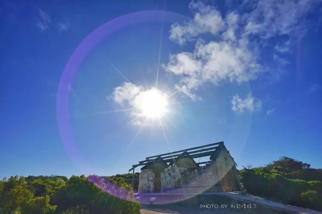 赴澳旅游注意,若带蜂蜜制品上岛,将被判两年监禁或8000澳元罚款