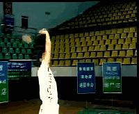 金秋诗画（学羽精华33.发力技巧）