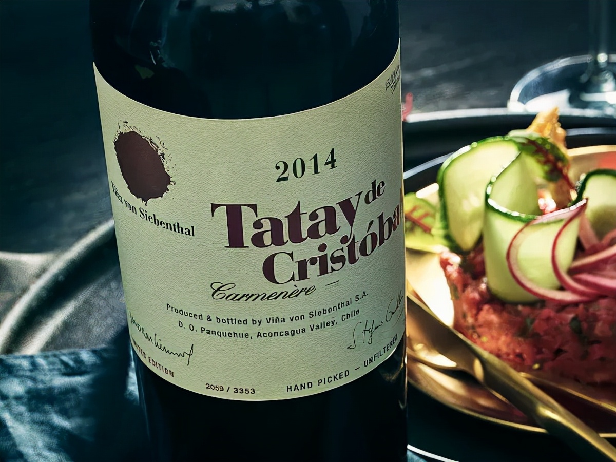 智利18罗汉中性价比最高的,智利十大顶级葡萄酒