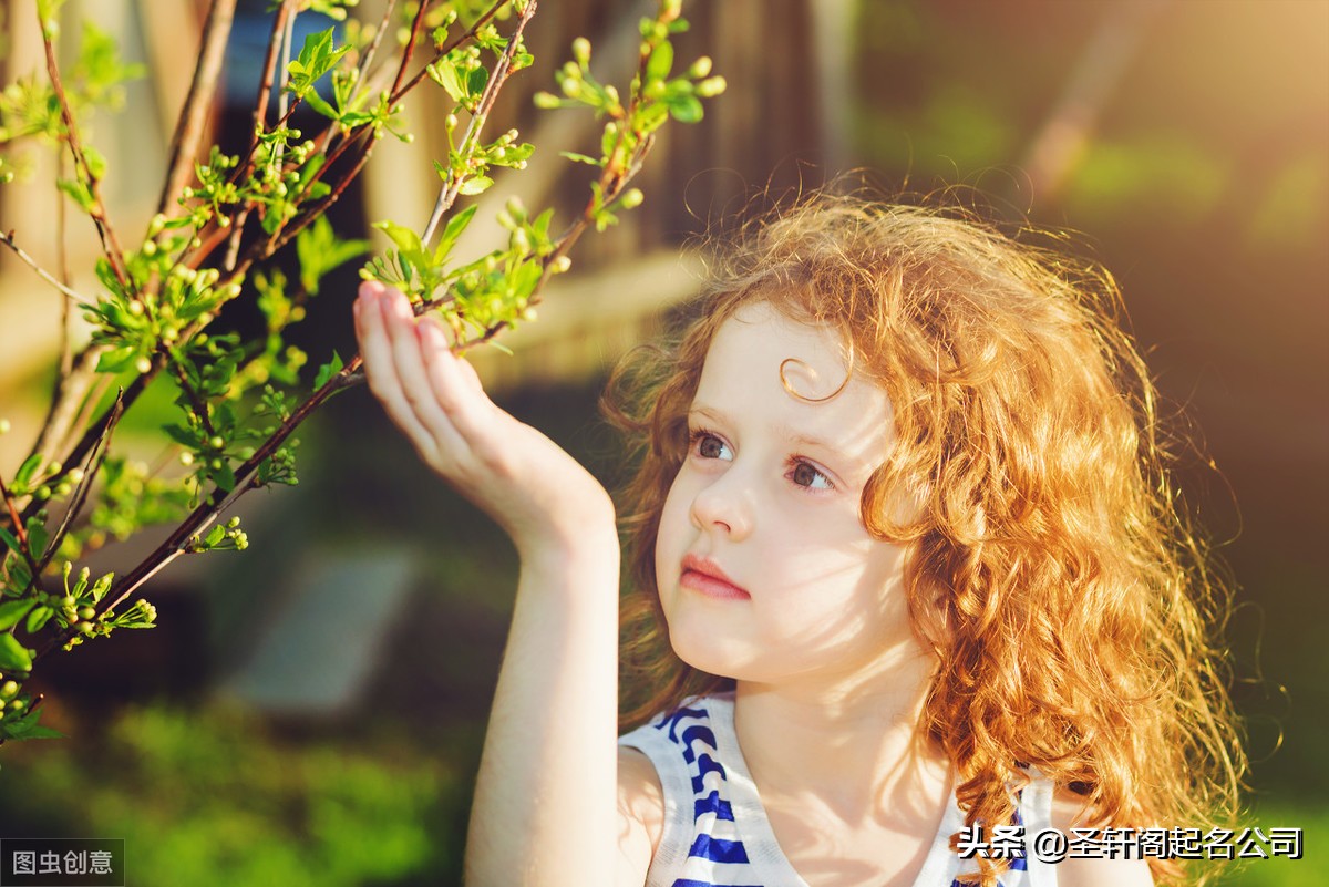 气质儒雅的女宝宝起名诗句,宝宝起名文艺又有气质的女孩名字
