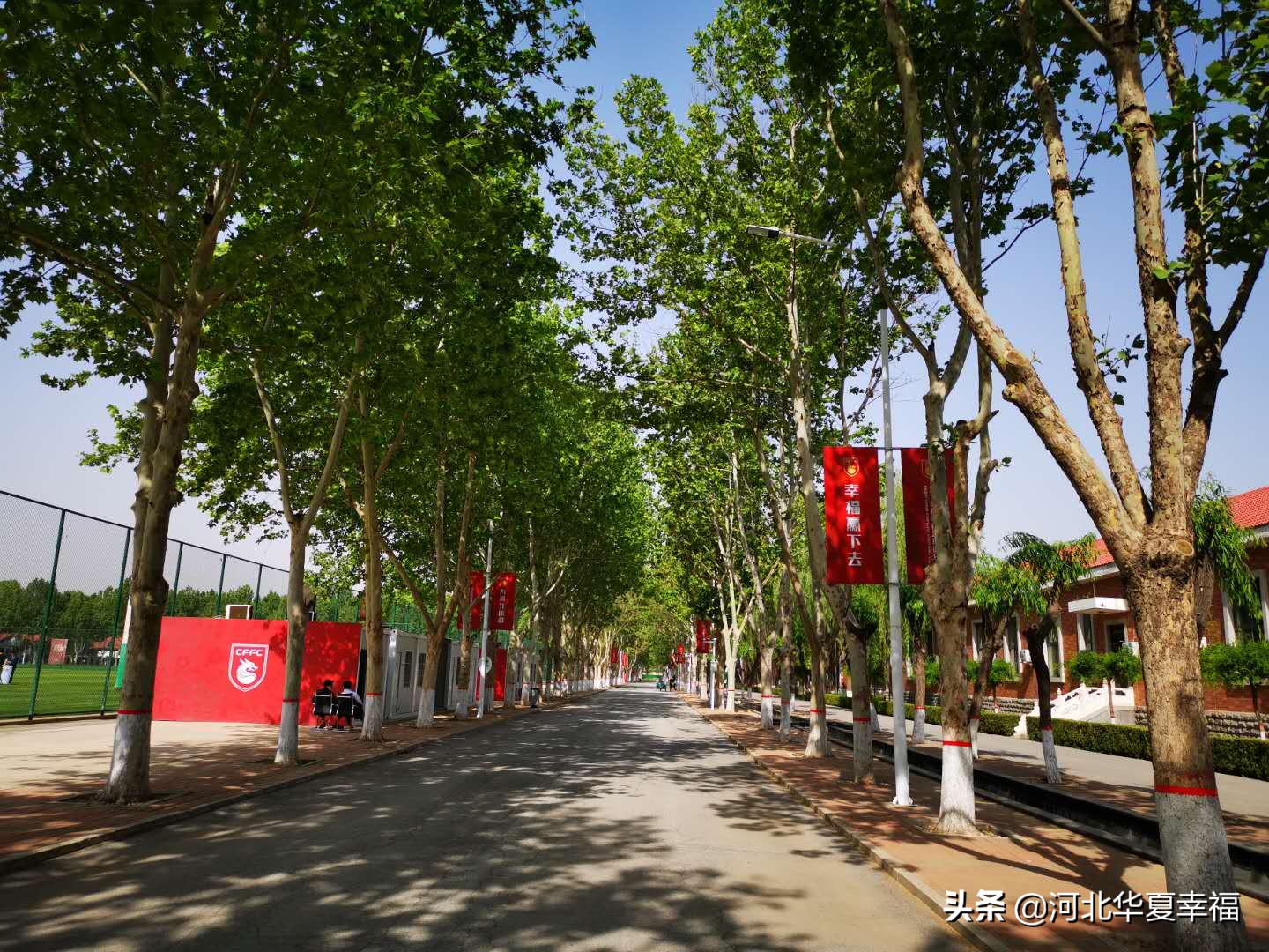 幸福预备队,河北幸福足球俱乐部u19