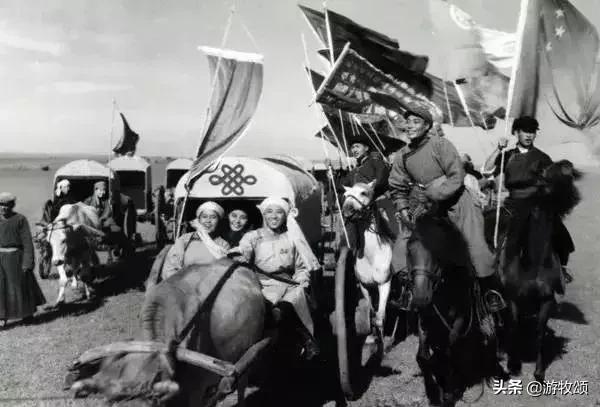 中国蒙古族电影推荐,关于蒙古族题材电影