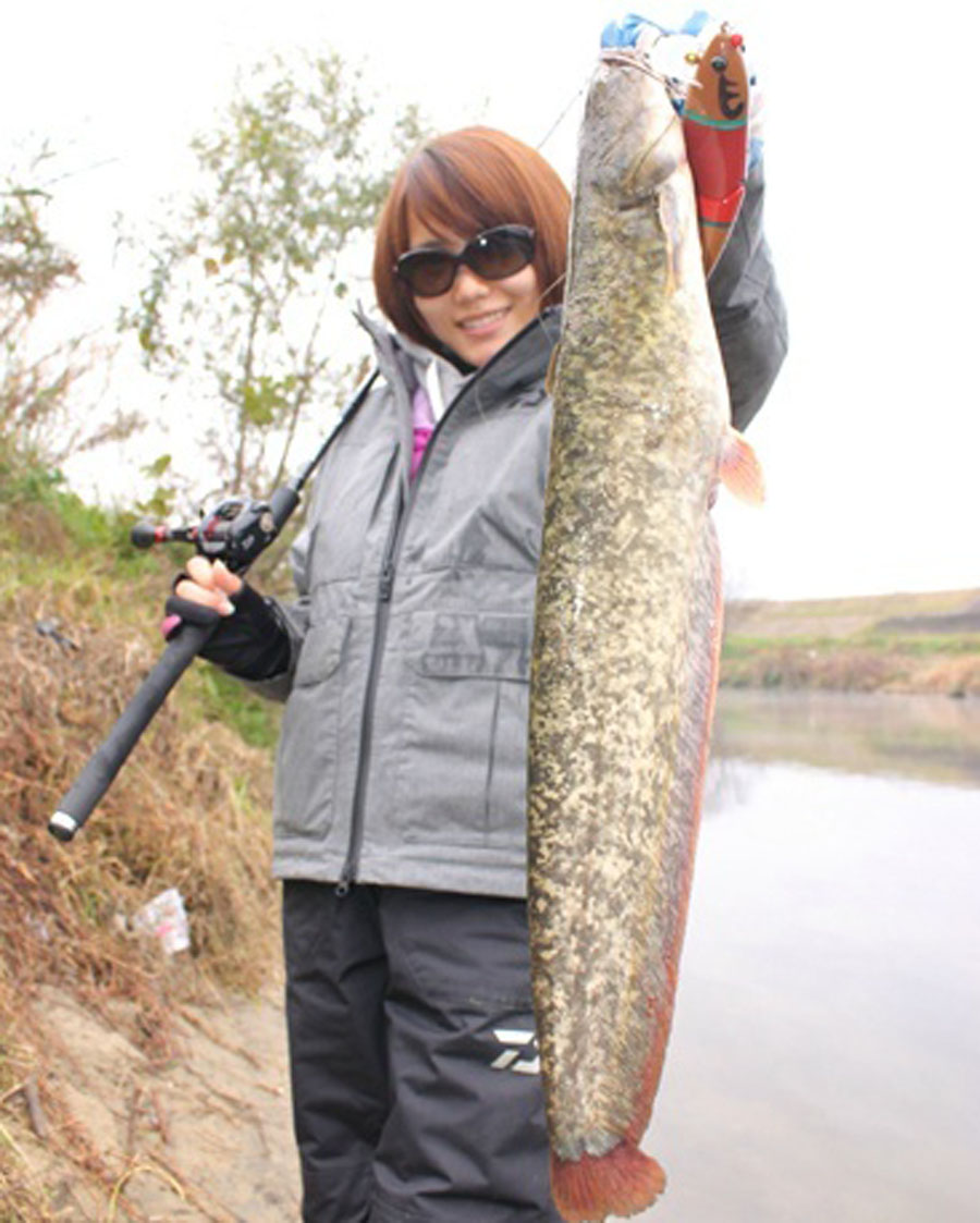 路亚各种钓法选哪个好,路亚入门路亚如何才能钓到鱼