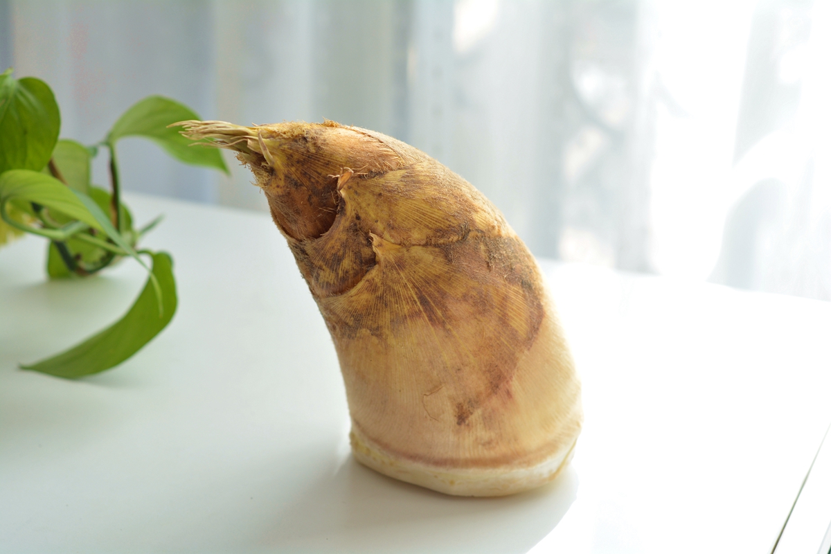 此菜被誉为夏天最养人的菜,这菜被称为湘菜一绝