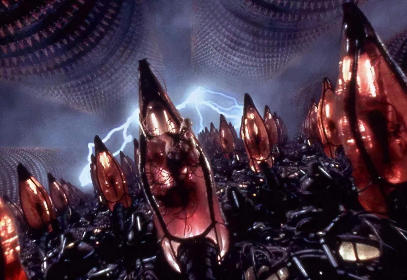 疯狂吹爆！这十年一遇的黑马电影，活该爆火