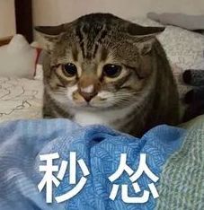 鍛ㄩ缚绁庣粰鍛樺伐鍙戝厤瑁佸埜,鍛ㄩ缚绁庡洖搴斿厤瑁佸埜