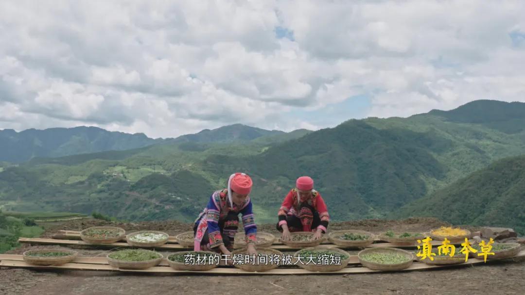 人有些啥病,民间神奇彝医真实故事