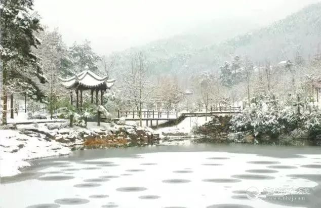 初中语文文学常识填空,初中语文易错文学常识