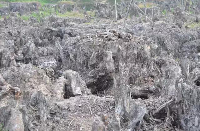 广东四会翡翠玉石源头,四会玉器之乡在哪里