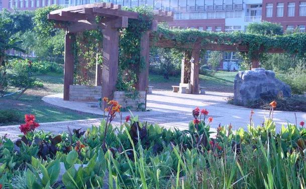 未来昆明发展潜力最大城市,昆明和青岛哪个城市发展潜力大