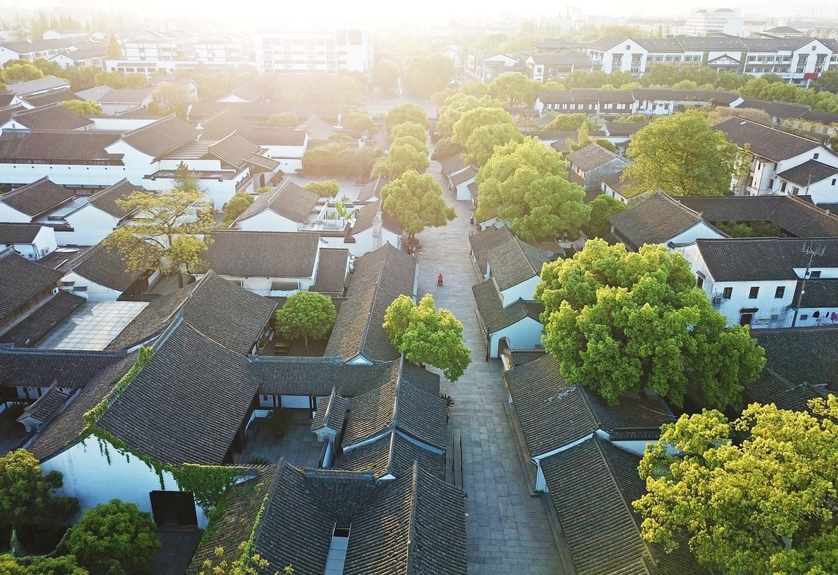 中国院士之乡绍兴,绍兴院士数量排名