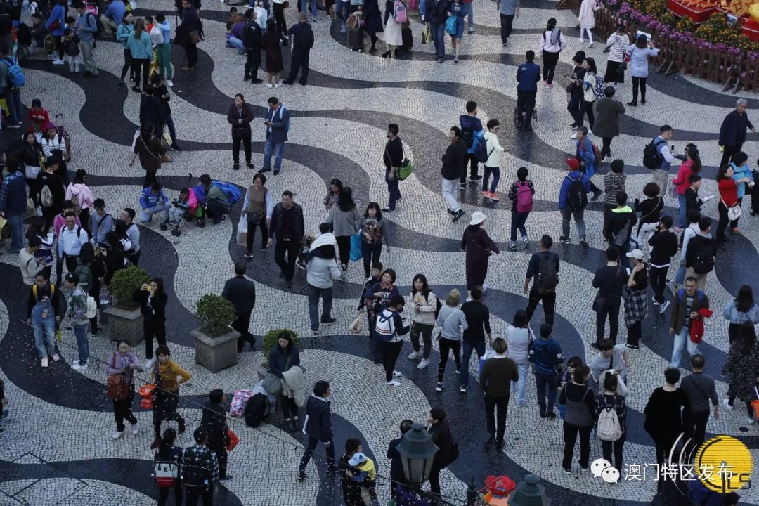 澳门5折优惠券,双11澳门香港