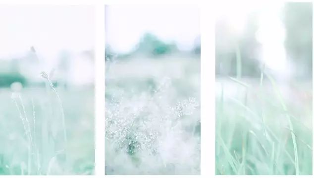 唯美照片必备技能光斑拍摄*法大**撩妹技巧