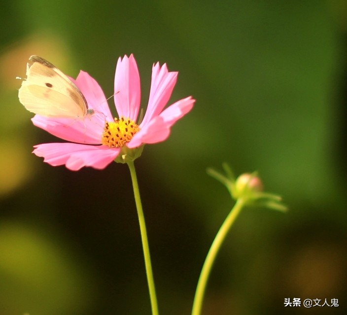 网文小说的十大禁忌纯干货分享,网文入门第一本网文小说最难写