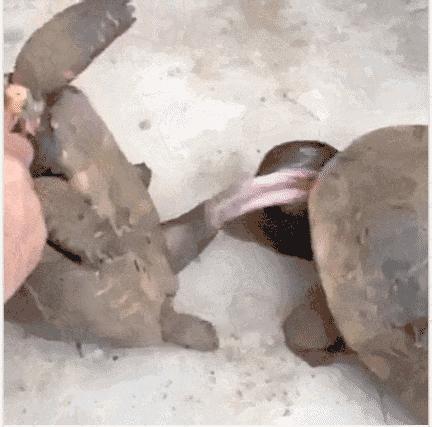 这些猫狗的照片,我也就看了10000多遍!