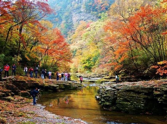 停车坐爱枫林晚霜叶红于二月花,西安秋季开车看红叶最好去处