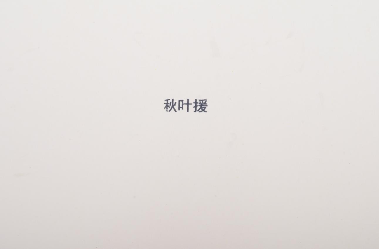 毕升手持电子喷码机不喷墨,随手打印机