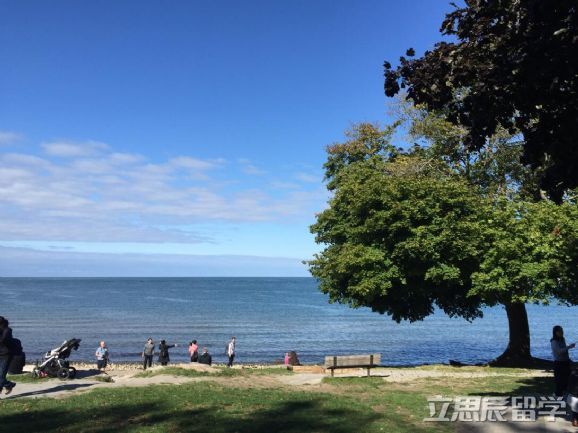 加拿大海关禁带物品,加拿大入境限制品清单