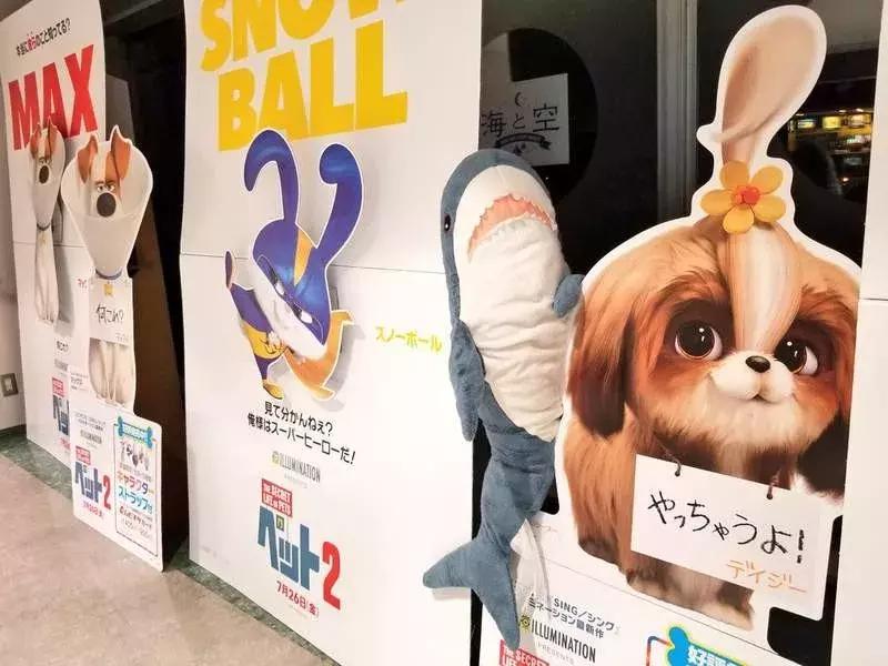 日推网友分享：被幸福饲养的鲨鱼宝宝，每一张都戳中萌点