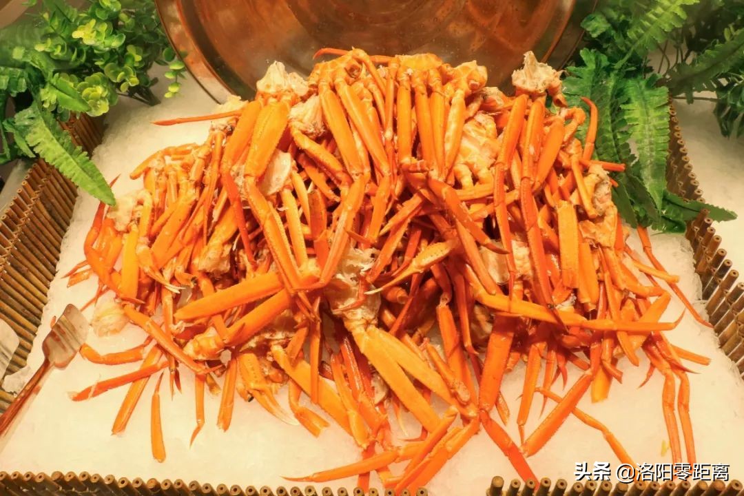 洛阳最好吃的餐厅,洛阳最好的自助餐厅是哪家