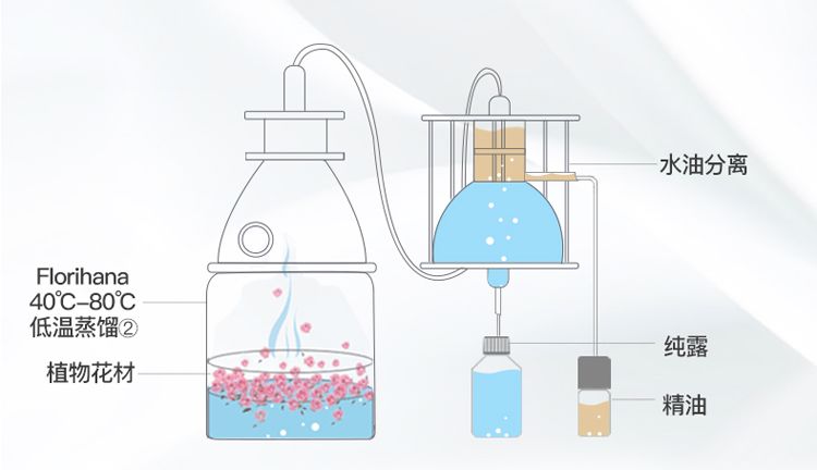 神仙水和护肤水,护肤保湿神仙水哪个好用
