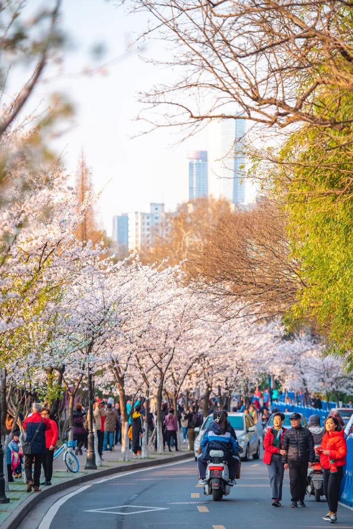 南京是属于哪个省的,南京是现在的哪个城市