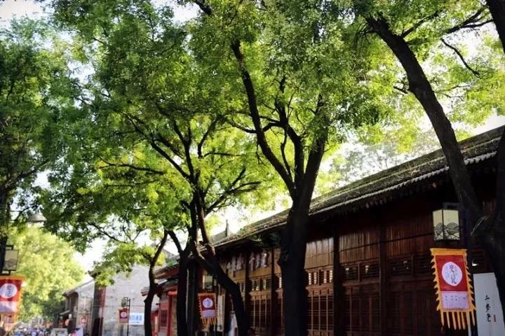 韩城旅游小吃攻略大全图,陕西韩城旅游必买物品