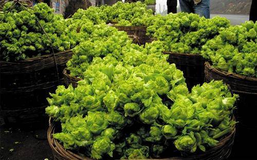 来凤鱼璧山兔蔡家店,来凤鱼璧山兔正宗做法