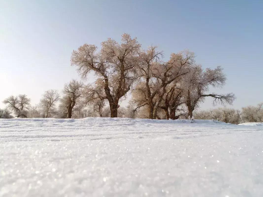 冬天的阿勒泰冰雪,冬天的雪冰雪奇缘