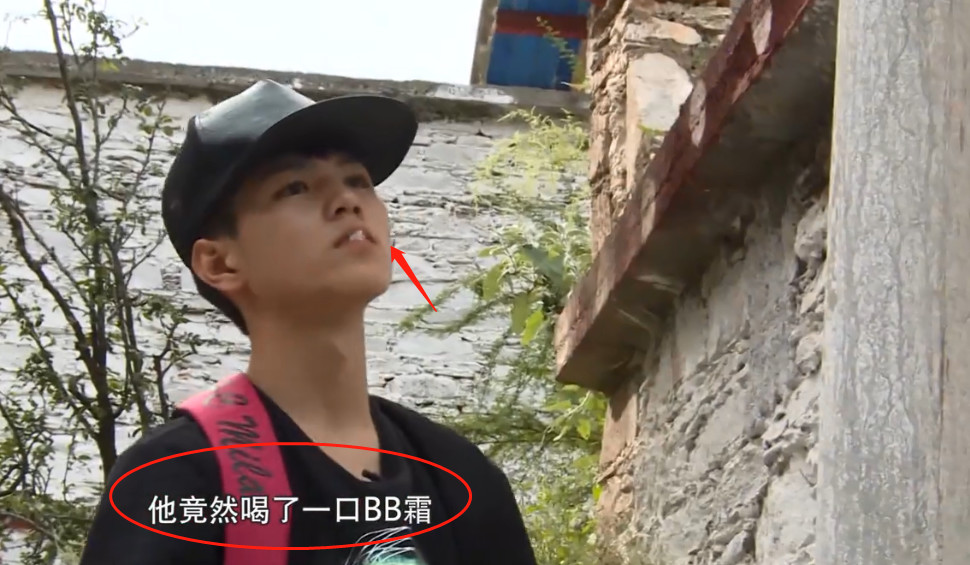 《变形记》主人公现状：王境泽真香出圈，有人成老赖，有人离世了